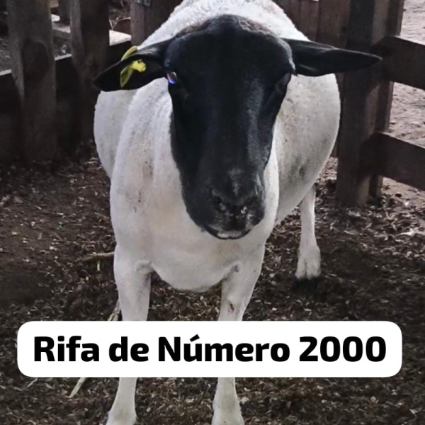 1.500,00 com apenas 0,03 centavos