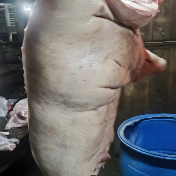 1.500,00 com apenas 0,03 centavos