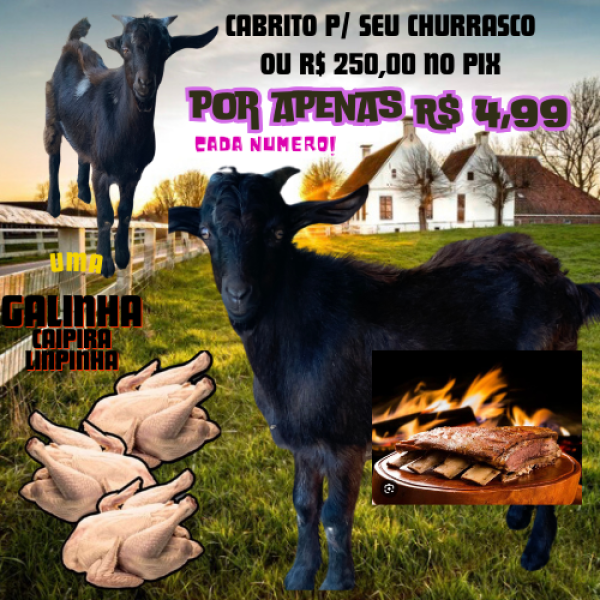 Cabrito P/ Seu Churrasco